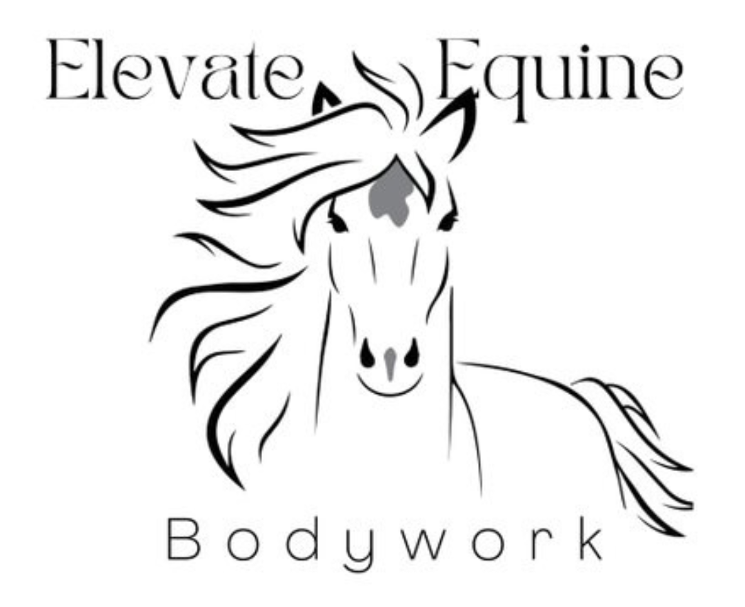 Elevate Equine Bodywork